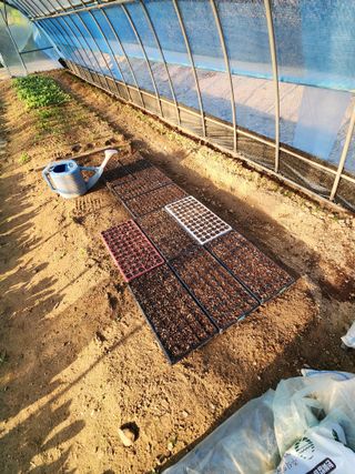 남창농사꾼님의 상추 · 영농일지 작성글 사진