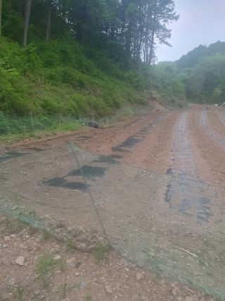 이상준님의 자유주제 · 자유게시판 작성글 사진