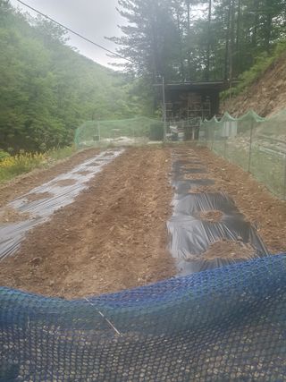 이상준님의 자유주제 · 자유게시판 작성글 사진