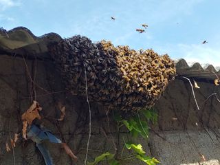 갑돌이님의 자유주제 · 자유게시판 작성글 사진