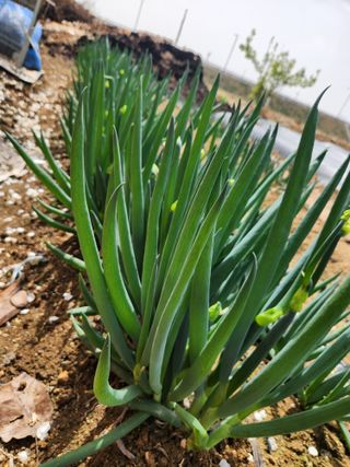 갑돌이님의 자유주제 · 자유게시판 작성글 사진