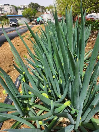 갑돌이님의 자유주제 · 자유게시판 작성글 사진