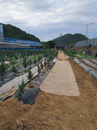 김용갑님의 자유주제 · 자유게시판 작성글 사진