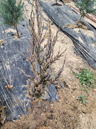 김용갑님의 자유주제 · 자유게시판 작성글 사진