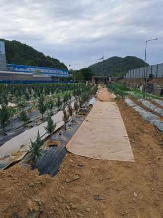 전희분님의 자유주제 · 자유게시판 작성글 사진