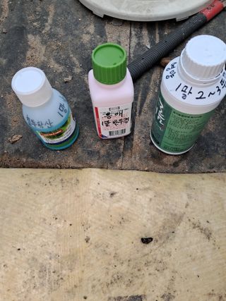 전희분님의 자유주제 · 자유게시판 작성글 사진