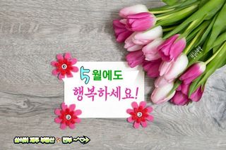 SOUL님의 자유주제 · 자유게시판 작성글 사진