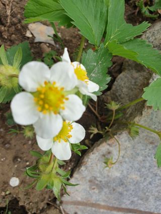 SOUL님의 자유주제 · 자유게시판 작성글 사진