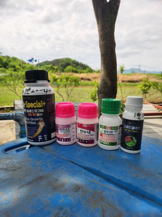 장재갑님의 마늘 · 영농일지 작성글 사진