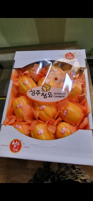 참외님의 작성글 사진