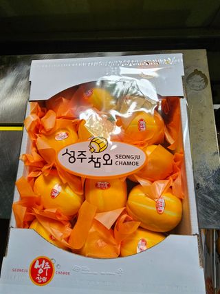 참외님의 작성글 사진