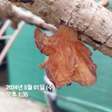 팜모닝 5월 농사계획 공유하기·참여글 게시글 이미지