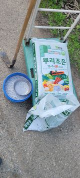 팜모닝 자유주제·자유게시판 게시글 이미지