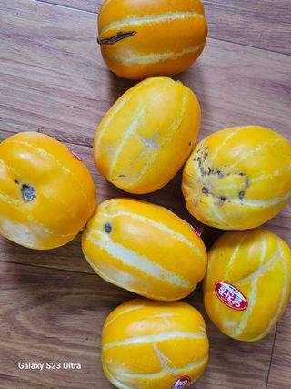 임일재님의 자유주제 · 건의해요 작성글 사진