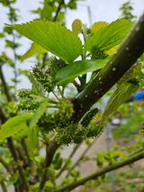 팜모닝 5월 농사계획 공유하기·참여글 게시글 이미지