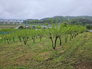 신이내린오디 정가네님의 5월 농사계획 공유하기 · 참여글 작성글 사진