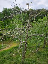 팜모닝 자유주제·자유게시판 게시글 이미지