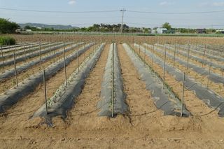 정진해님의 자유주제 · 자유게시판 작성글 사진