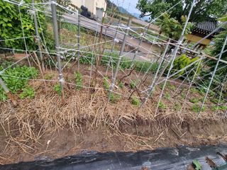 영애님의 자유주제 · 자유게시판 작성글 사진