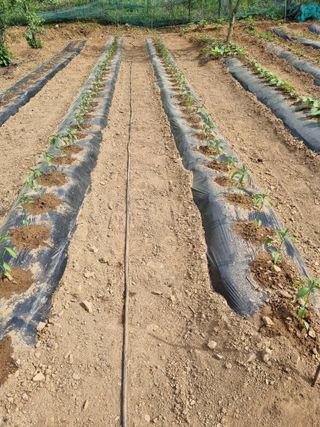 풍요님의 자유주제 · 자유게시판 작성글 사진