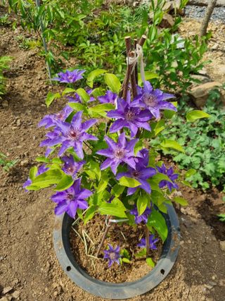 풍요님의 자유주제 · 자유게시판 작성글 사진