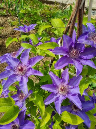 풍요님의 자유주제 · 자유게시판 작성글 사진