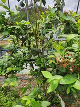 팜모닝 자유주제·자유게시판 게시글 이미지