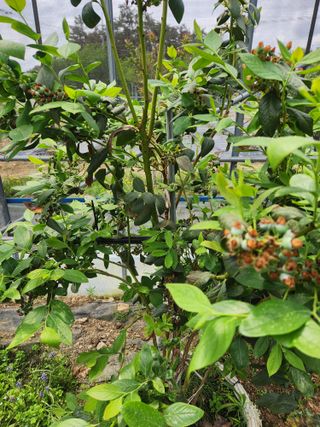 호박13997님의 자유주제 · 자유게시판 작성글 사진