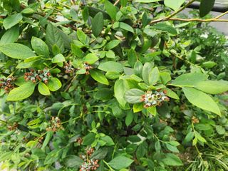 호박13997님의 자유주제 · 자유게시판 작성글 사진