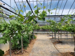 호박13997님의 자유주제 · 자유게시판 작성글 사진