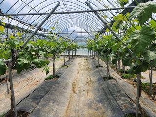 호박13997님의 자유주제 · 자유게시판 작성글 사진