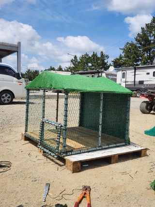 호박13997님의 자유주제 · 자유게시판 작성글 사진