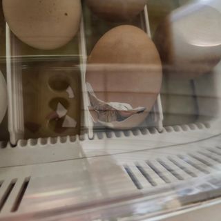 호박13997님의 자유주제 · 자유게시판 작성글 사진