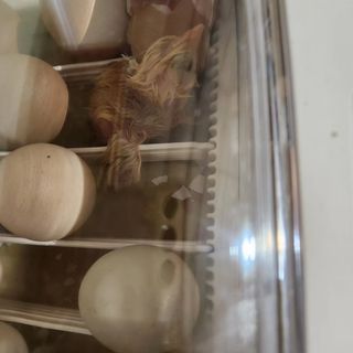 호박13997님의 자유주제 · 자유게시판 작성글 사진