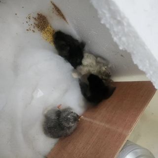 호박13997님의 자유주제 · 자유게시판 작성글 사진