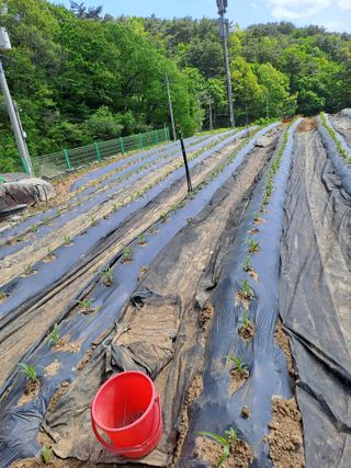 강정희님의 자유주제 · 자유게시판 작성글 사진