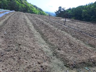 강정희님의 자유주제 · 자유게시판 작성글 사진