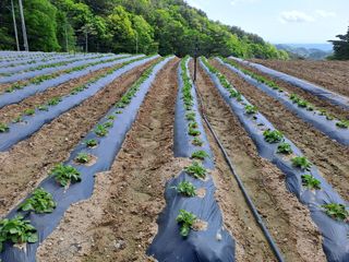 강정희님의 자유주제 · 자유게시판 작성글 사진