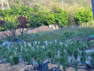 박헌님의 5월 농사계획 공유하기 · 참여글 작성글 사진