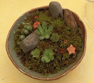 황토와 허브-끄레아님의 자유주제 · 자유게시판 작성글 사진