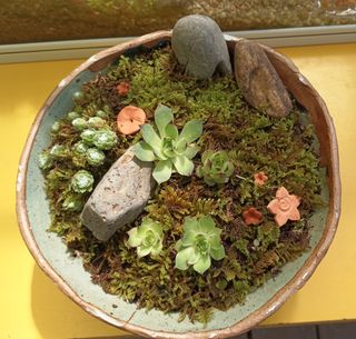 황토와 허브-끄레아님의 자유주제 · 자유게시판 작성글 사진