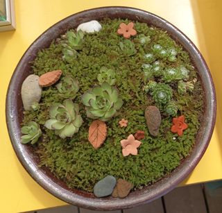 황토와 허브-끄레아님의 자유주제 · 자유게시판 작성글 사진