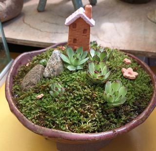 황토와 허브-끄레아님의 자유주제 · 자유게시판 작성글 사진