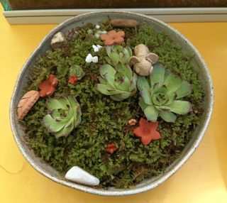 황토와 허브-끄레아님의 자유주제 · 자유게시판 작성글 사진