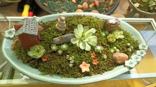 황토와 허브-끄레아님의 자유주제 · 자유게시판 작성글 사진