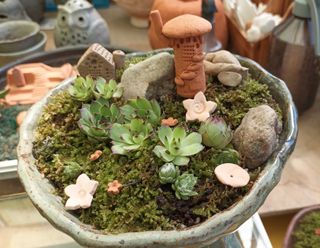 황토와 허브-끄레아님의 자유주제 · 자유게시판 작성글 사진