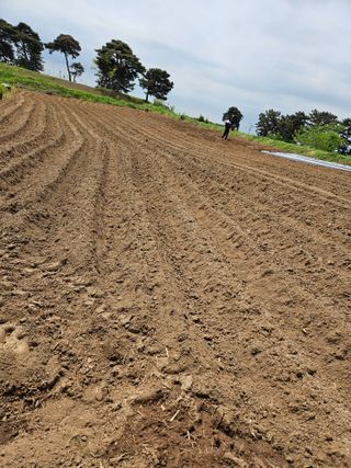 오산토박이(이찬열)님의 5월 농사계획 공유하기 · 참여글 작성글 사진