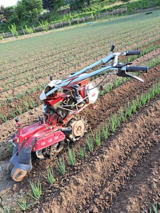 좋은인연원님의 자유주제 · 자유게시판 작성글 사진