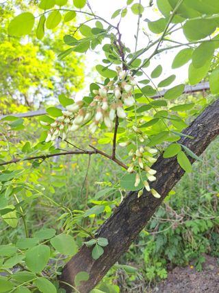좋은인연원님의 자유주제 · 자유게시판 작성글 사진