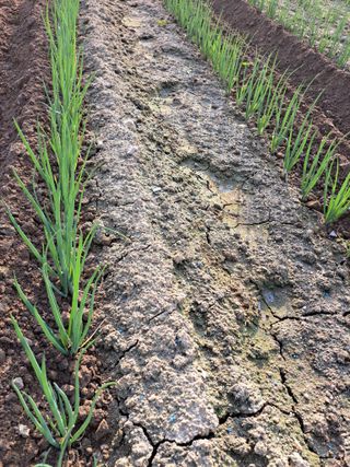 좋은인연원님의 자유주제 · 자유게시판 작성글 사진